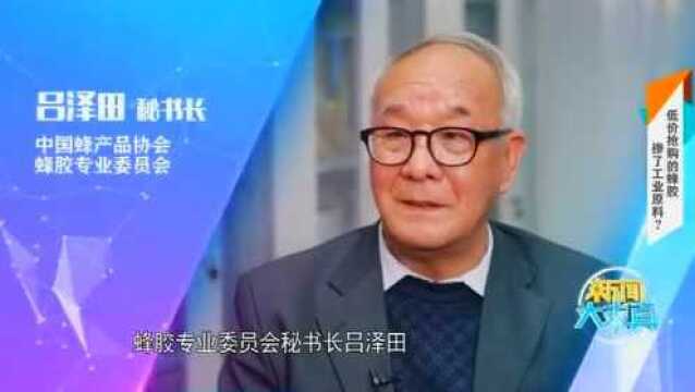 中国蜂产品蜂胶专业委员会秘书长吕泽田,教你认识购买蜂胶!