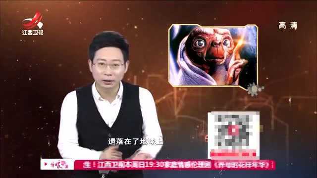 老安到底发现了什么,居然让人联想到了外星人?