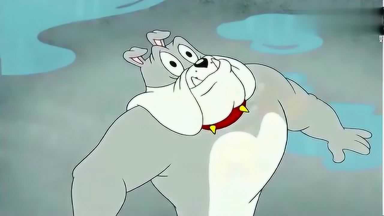 猫和老鼠汤姆高空戏耍斯派克斯派克只有看着忍受