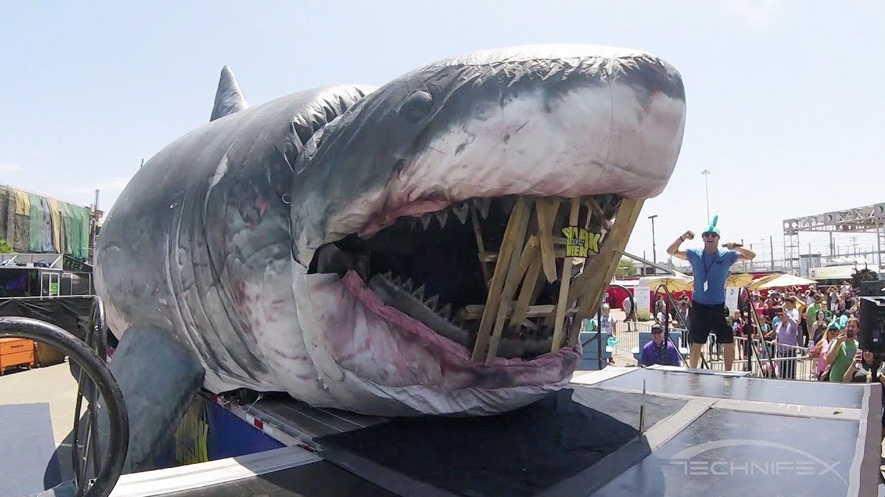 世界上最大鲨鱼最古老图片