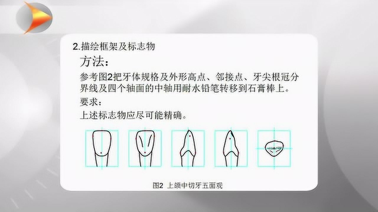 右上颌中切牙2倍石膏牙雕刻_高清1080P在线观看平台_腾讯视频