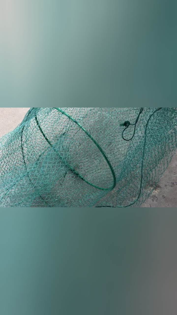 20181005楚梅兰龙虾地笼批发1