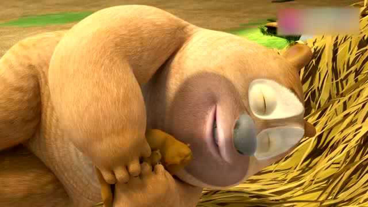 熊熊乐园:今天是熊妈妈的生日?