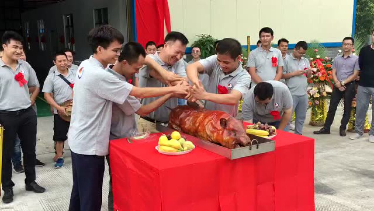开业庆典切乳猪