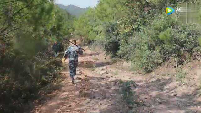 农村野木瓜,不知道在你们那里叫什么,吃起来香甜异常