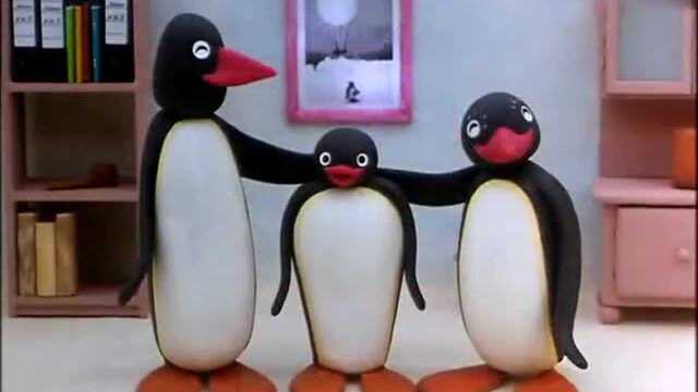 企鹅家族:Pingu拍了许多照片,但洗出来都是黑的,这是为什呢?