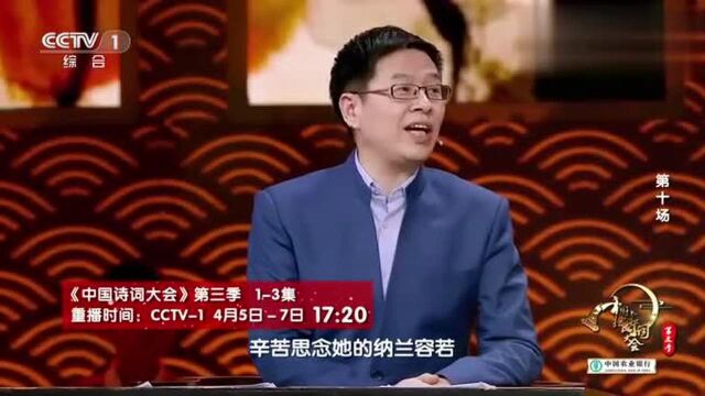 “一生一代一双人”纳兰心事几人知,网友:莫名的伤感!