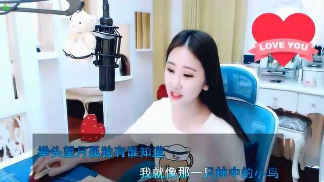 小虾米《林中鸟》