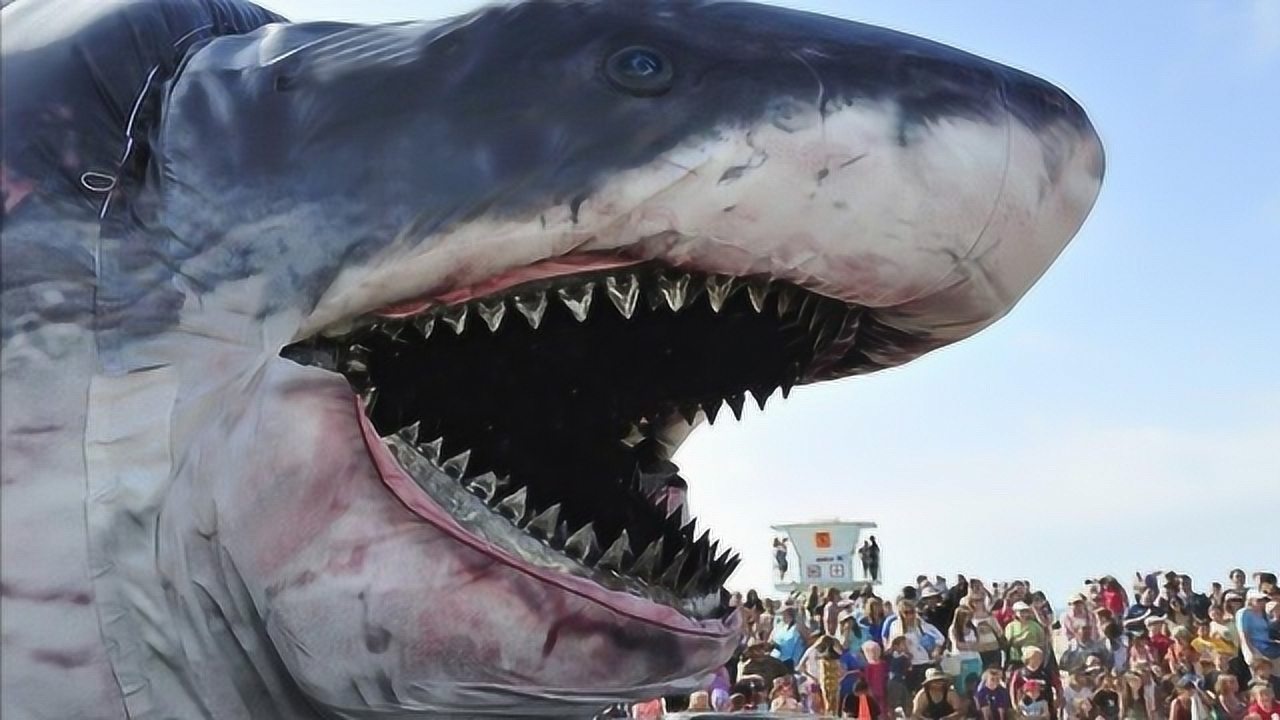 5大惊人的鲨鱼史前巨型鲨鱼真实存在