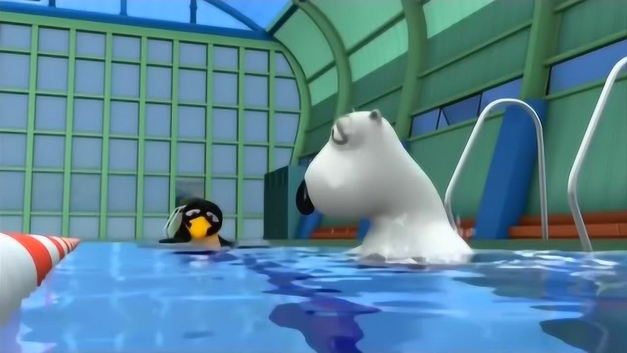 倒霉熊学游泳,不用教,下水就会游