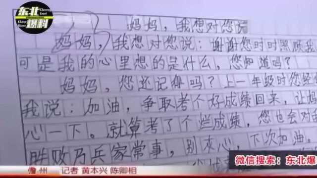 小学生作文引共鸣:你快是手机的爸爸了