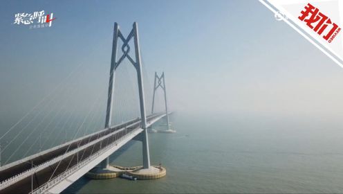 直播回看：港珠澳大桥开通 坐巴士跨海去香港