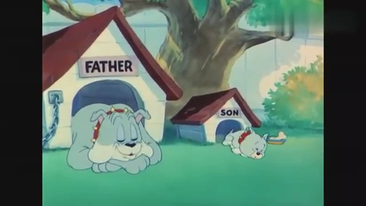 猫和老鼠 044斗牛犬父子的午觉不容打扰