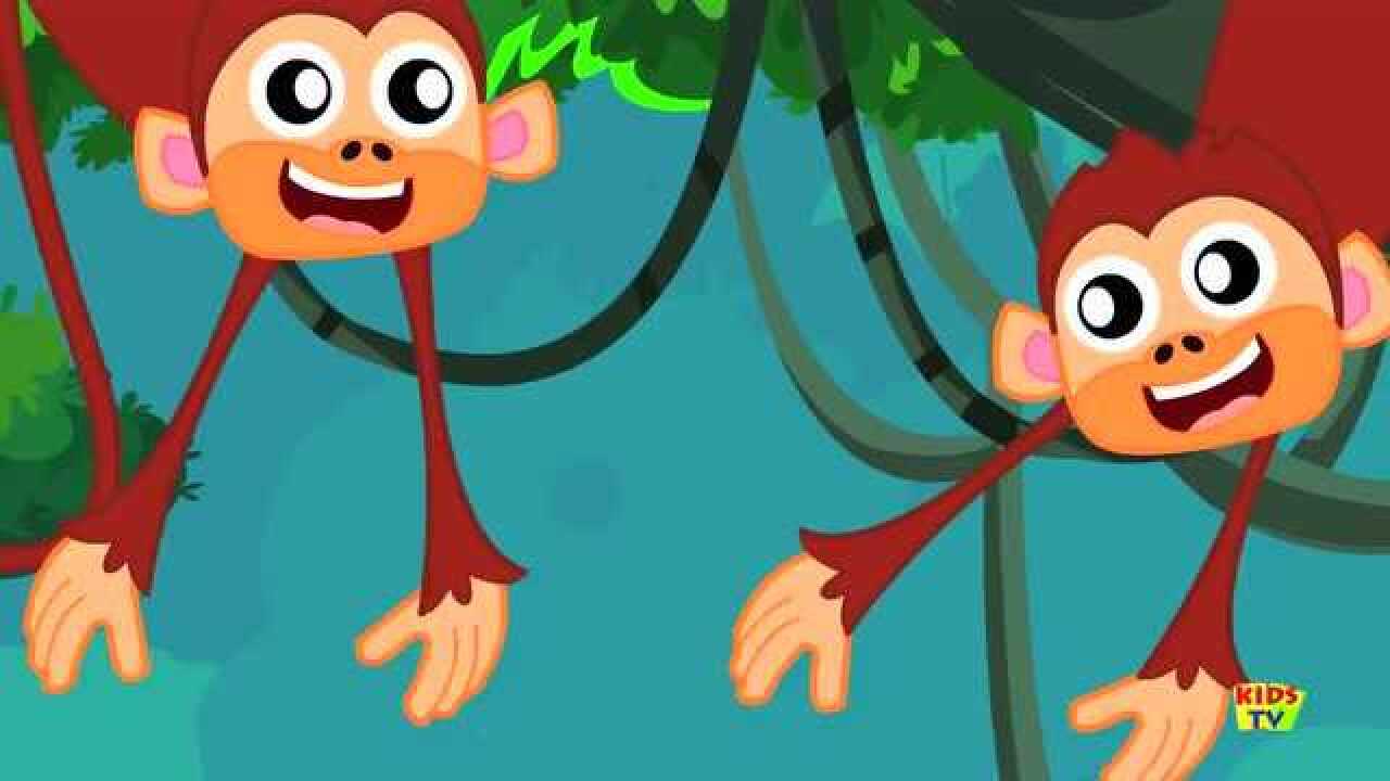 小动物们快乐的森林舞会