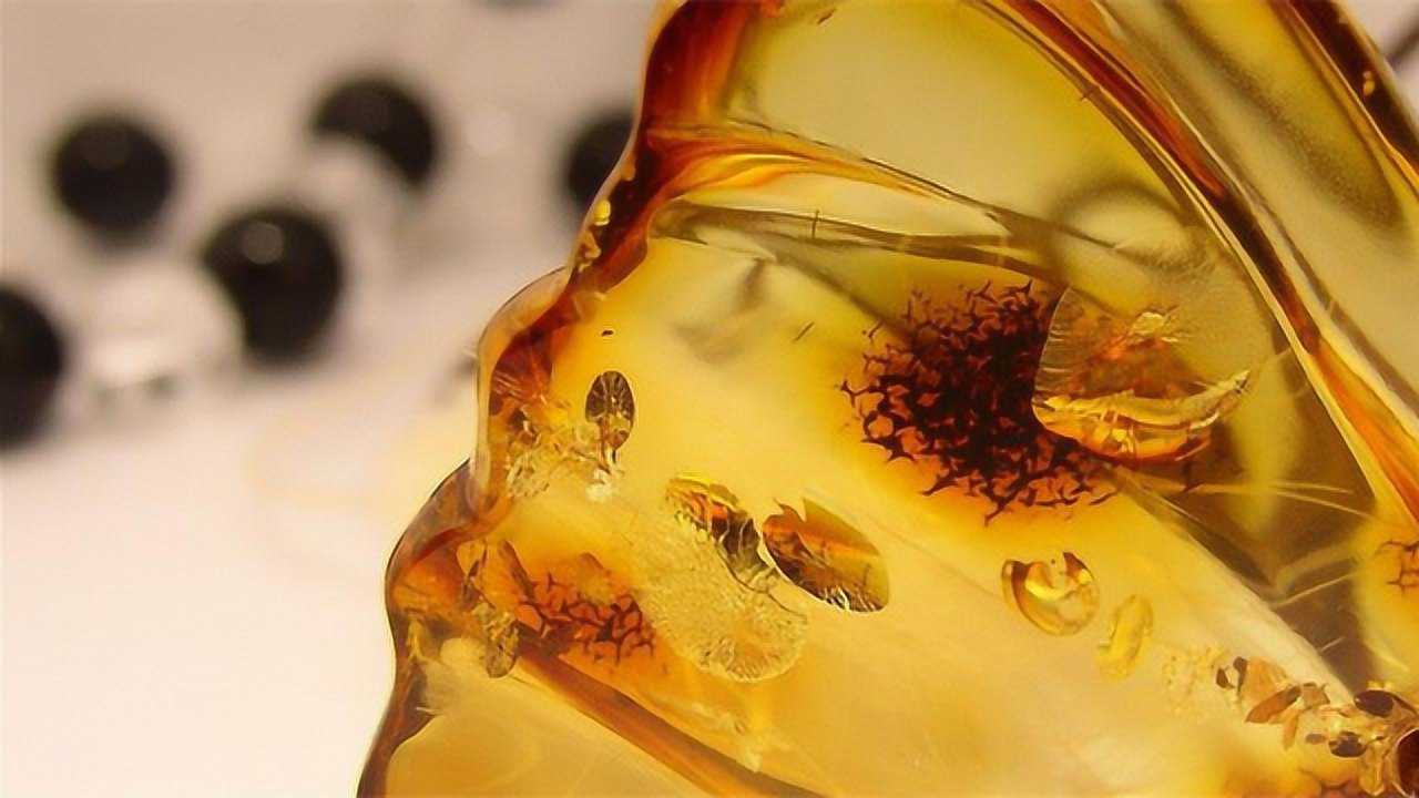 外国男子制作人工琥珀,真的能以假乱真么?