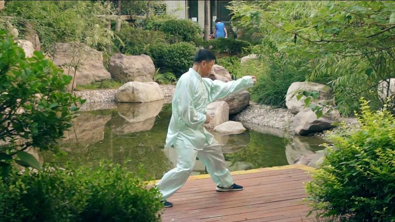 山西车毅斋之车派形意拳——布援强