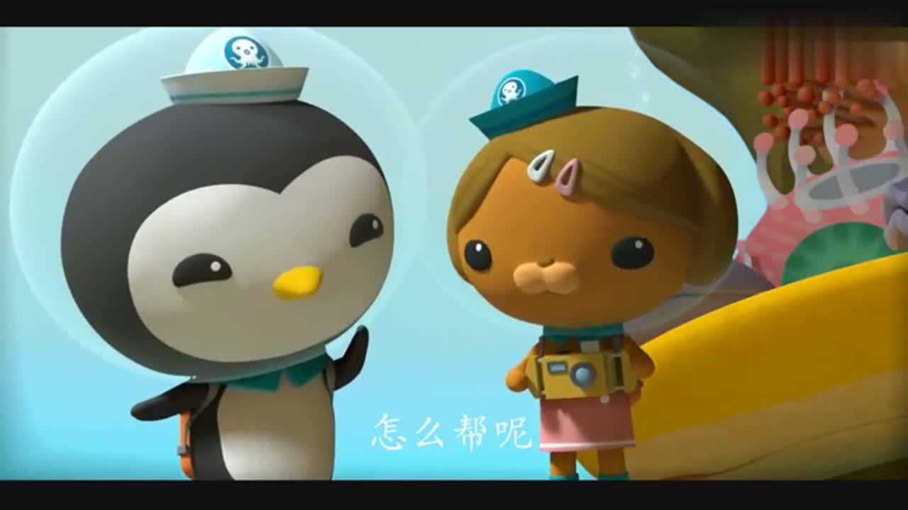 海底小纵队谢灵通考察珊瑚礁有了一个惊喜大发现