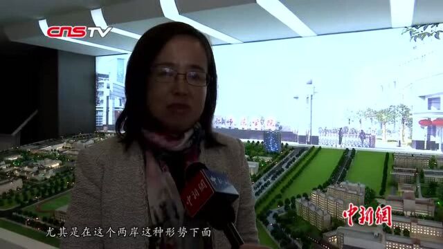 台湾青年安徽体验“徽文化”:让文化交流拉近彼此距离