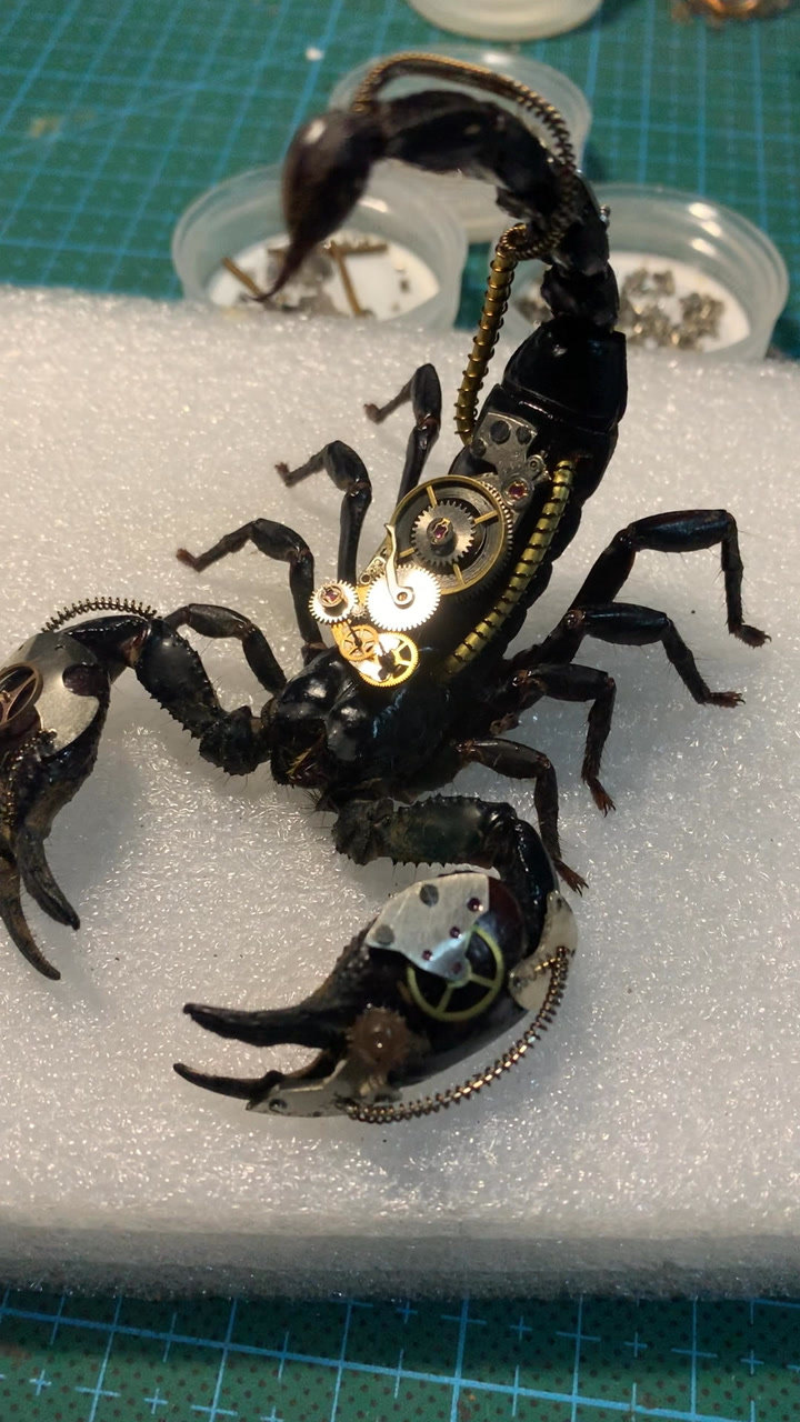 蒸汽朋克机械风格标本-雨林蝎