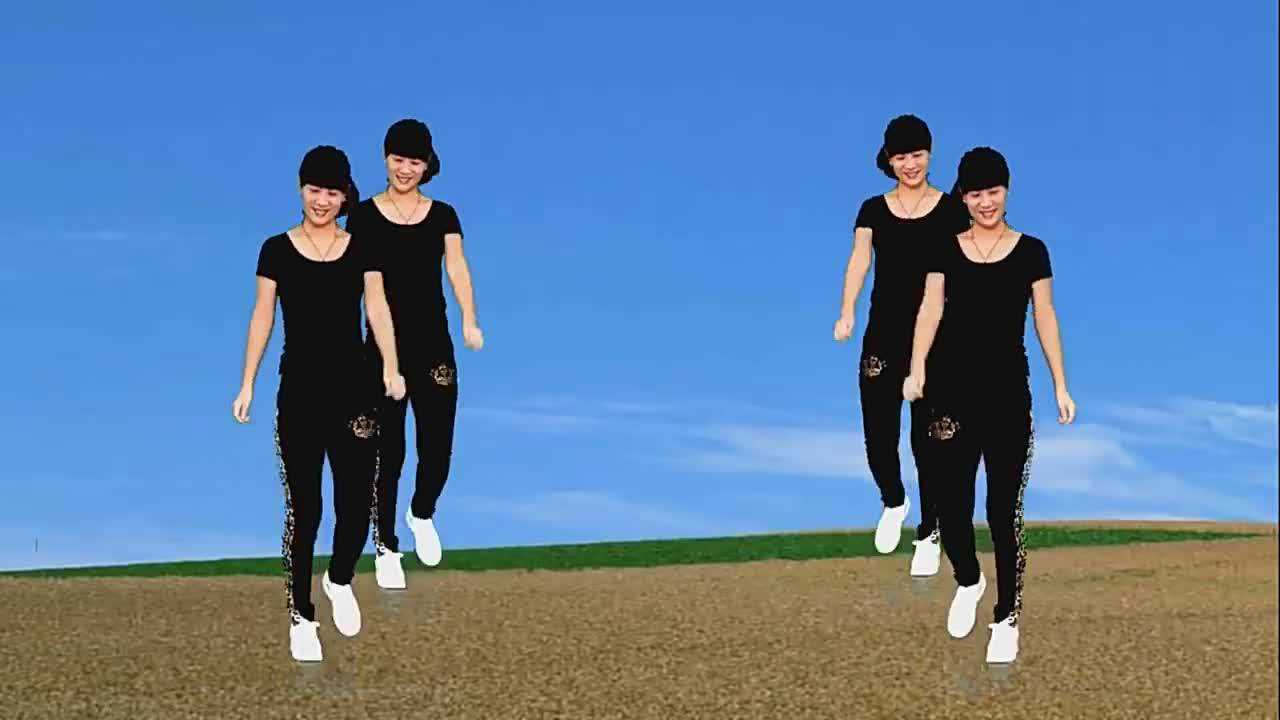 28步对跳广场舞《远走高飞》弹跳舞步,附分解动作,轻松学会