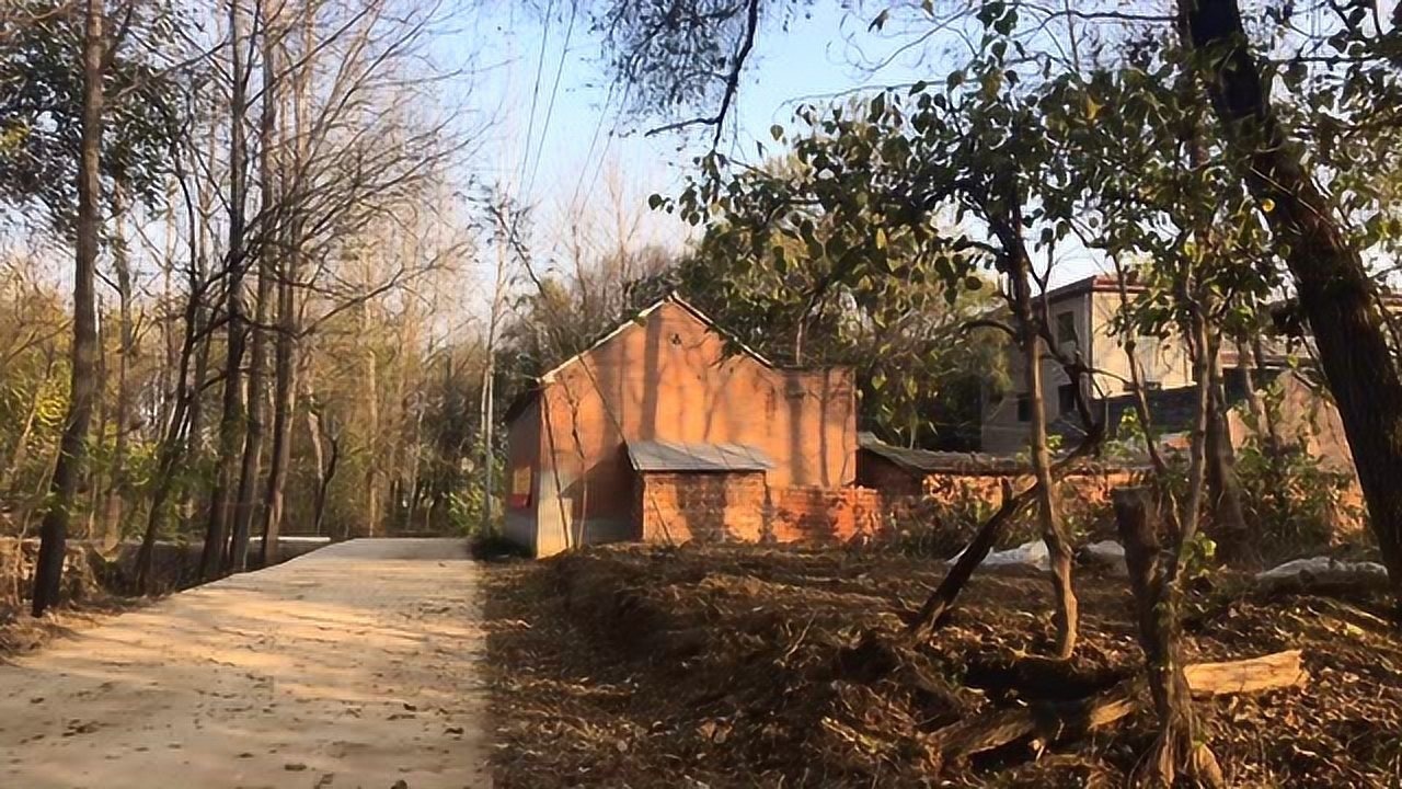 安徽阜阳农村房子图片