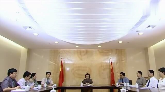 人大主任:叶书记决定彻查天龙集团,不料魏市长竟然不同意