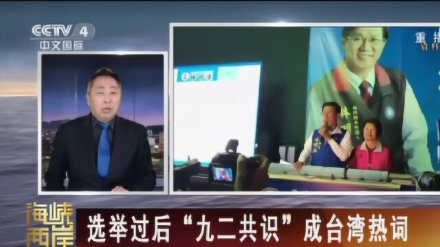 选举过后“九二共识”成台湾热词