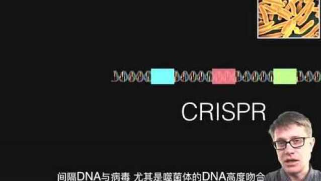 基因编辑中的CRISPR是什么?