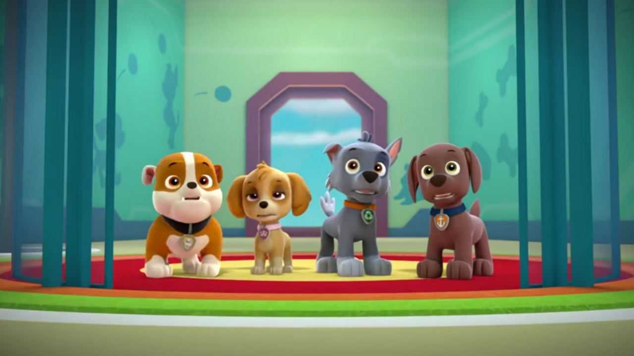 汪汪队:小红来给小动物讲故事,森林里的比美大赛,谁最美呢