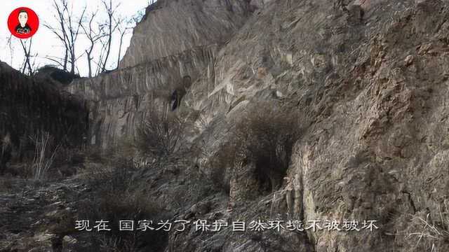 甘肃农村很多成片的荒山,蒿草丛生,山里人却说它很美!