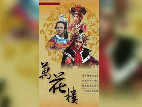 杨丽花歌仔戏《万花楼》月夜思情如意是我的媒证 高玉珊