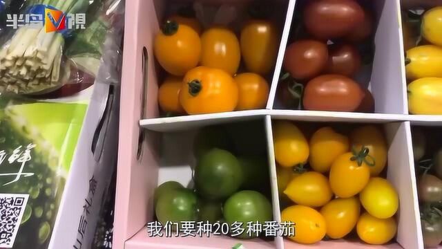 青岛品牌农产品有多么受欢迎?消费者开“抢”惊了商户