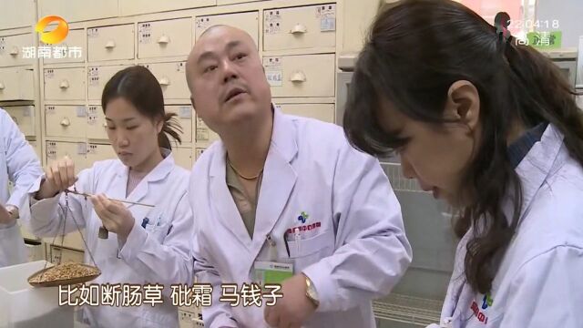 阿姨通过医托看病抓的中药四百多一副,被中药师鉴定为最多值三十