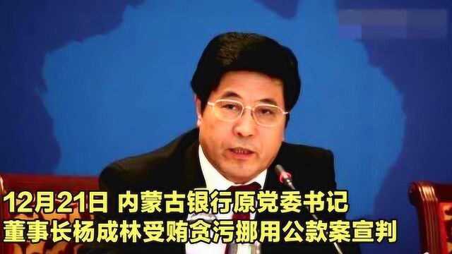 痛快!内蒙古“巨贪”杨成林贪污受贿超6亿 一审被判死缓