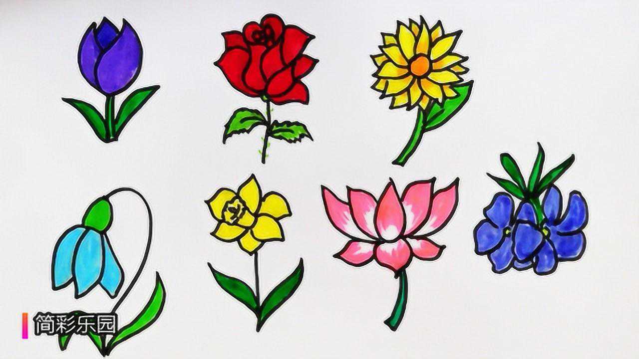 一笔一笔教你轻松画出七种花简单又好看的花朵简笔画_高清