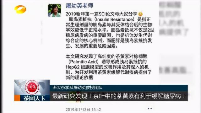 糖尿病患者福音!浙大屠幼英教授团队发现红茶中茶黄素特别功效!