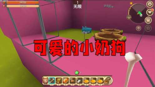 迷你世界果果姐篇:狗狗收养所,这么可爱的小奶狗