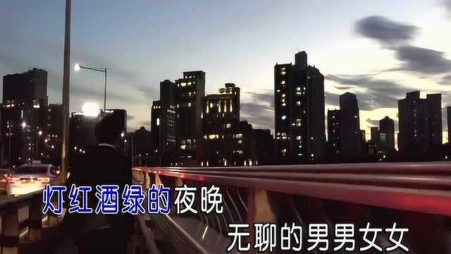 陈硕子歌曲《忘了我吧》红日蓝月KTV推介