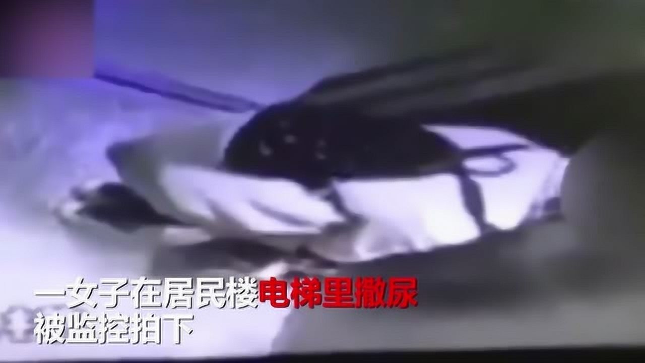 24岁美女电梯里小便，监控曝光：羞不羞耻！_高清