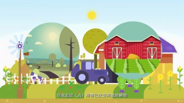 广东省农业支持保护补贴政策解读 视频