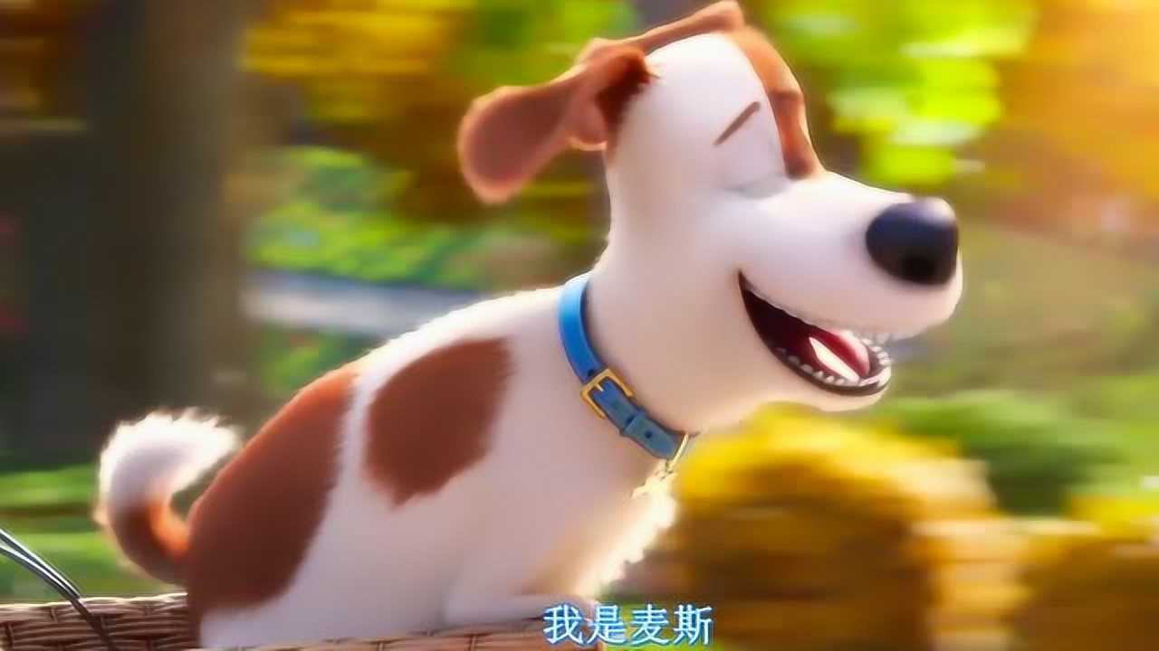 爱宠大机密狗狗麦克和主人的美好生活