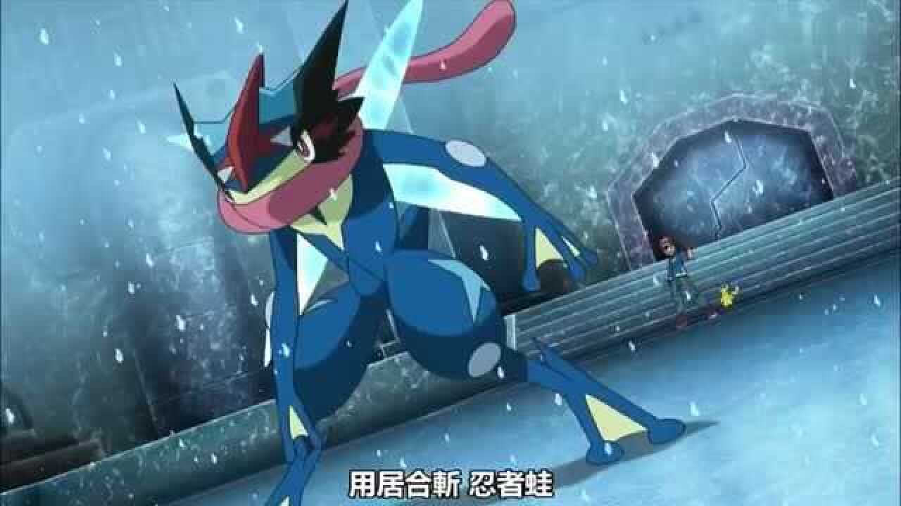 甲贺忍蛙vsmega暴雪王最后一个徽章甲贺忍蛙的最终进化