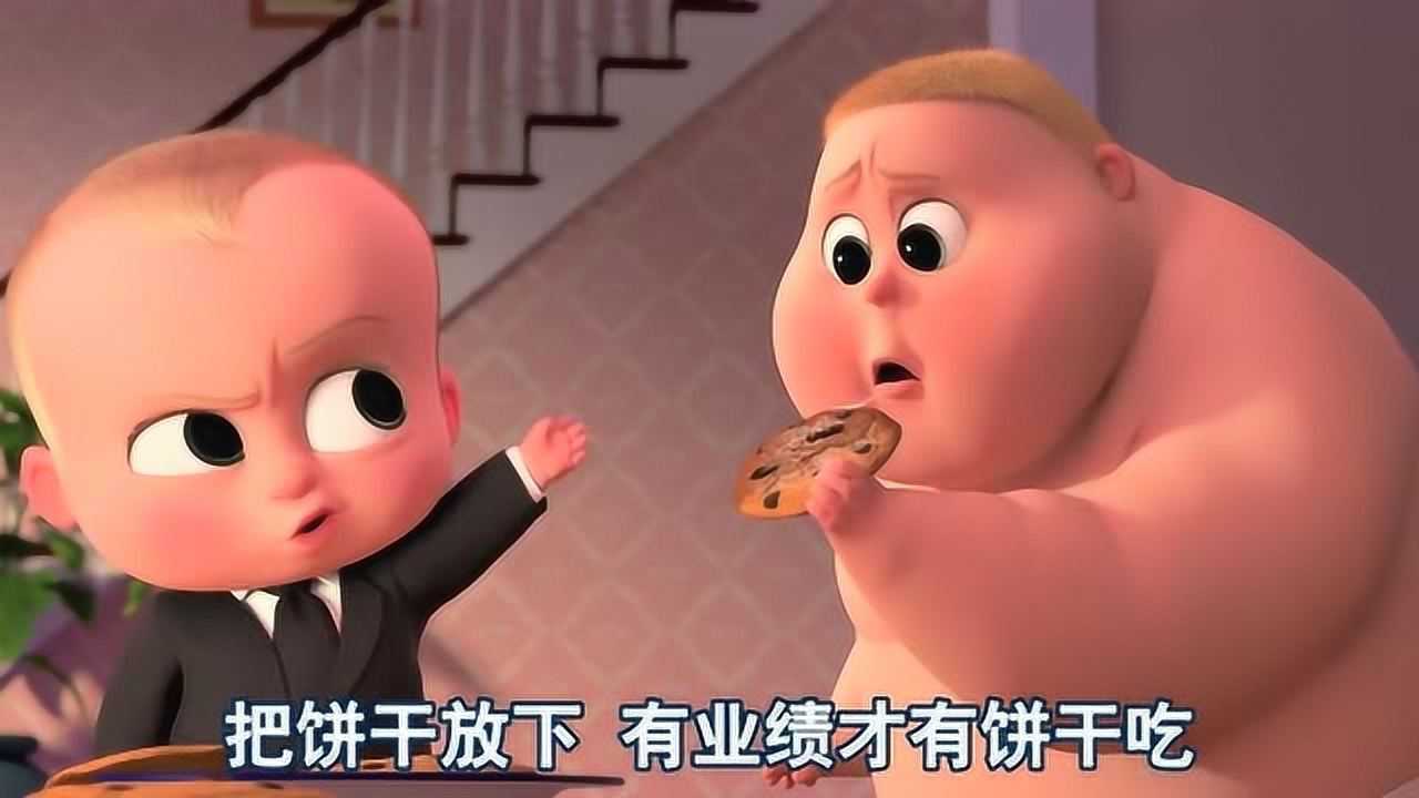 宝贝老板胖嘟嘟的金宝真是可爱