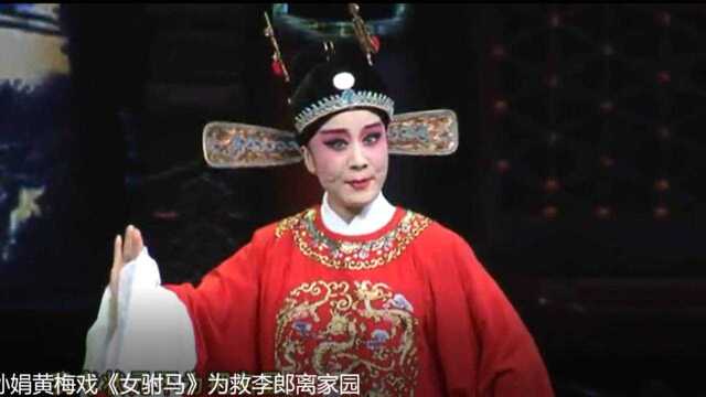 戏缘—黄梅戏《女驸马》选段“为救李郎离家园” 孙娟演唱