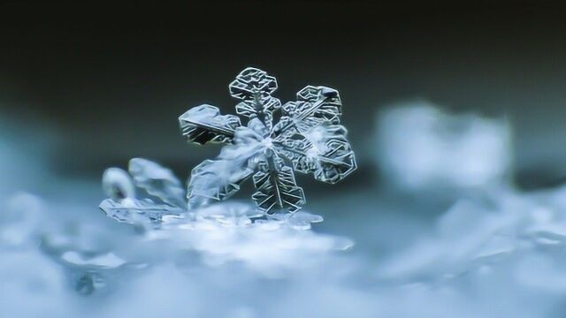 雪花没有看上去那么干净