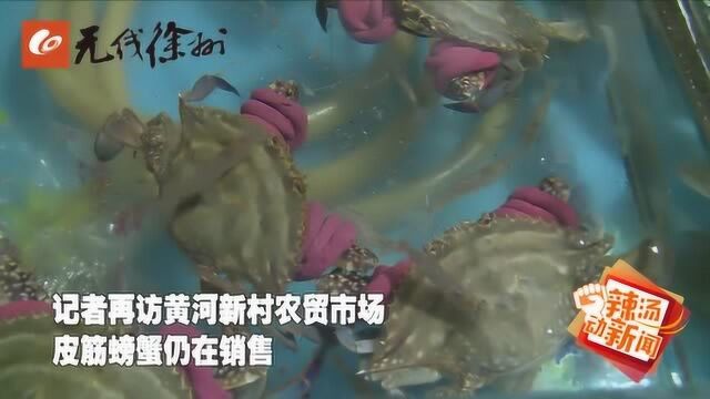 此消彼长 “皮筋”螃蟹的秘密在这里 你懂得