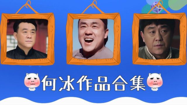 忆往昔《白鹿原》到《芝麻胡同》何冰作品合集,坚持做好演员