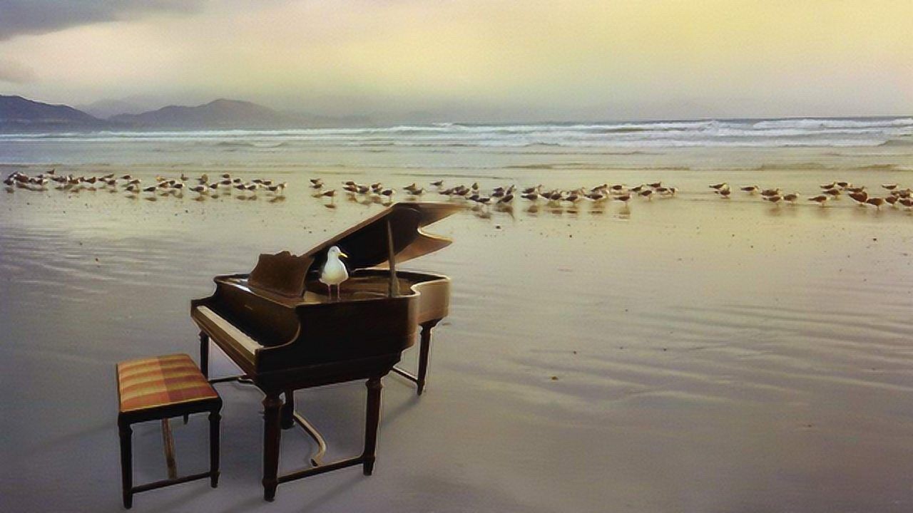 《沙滩上的钢琴》唯美动听,喜欢这种流淌在心房的声音!