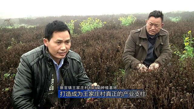 驻村书记陈文:干好事 干成事 带领全村奔小康