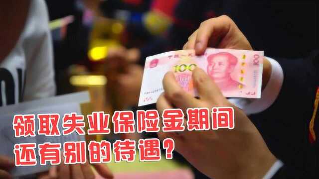 领取失业保险金期间都能享受什么待遇?